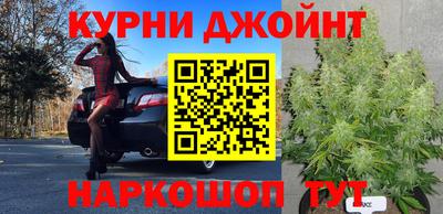 сатива Беслан