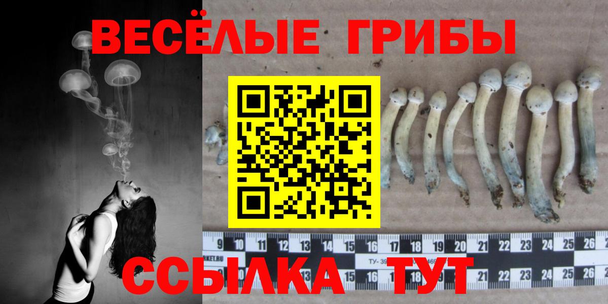 Псилоцибиновые грибы Magic Shrooms  Вход с VPN  Горно-Алтайск  Псилоцибиновые грибы ЛСД 
