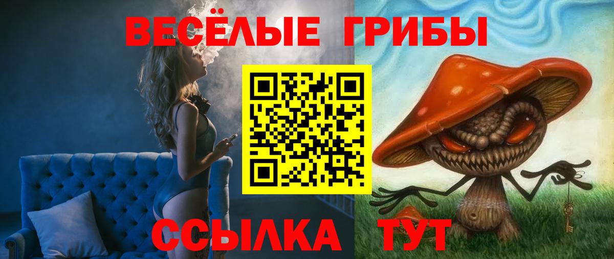 Псилоцибиновые грибы прущие грибы Горно-Алтайск